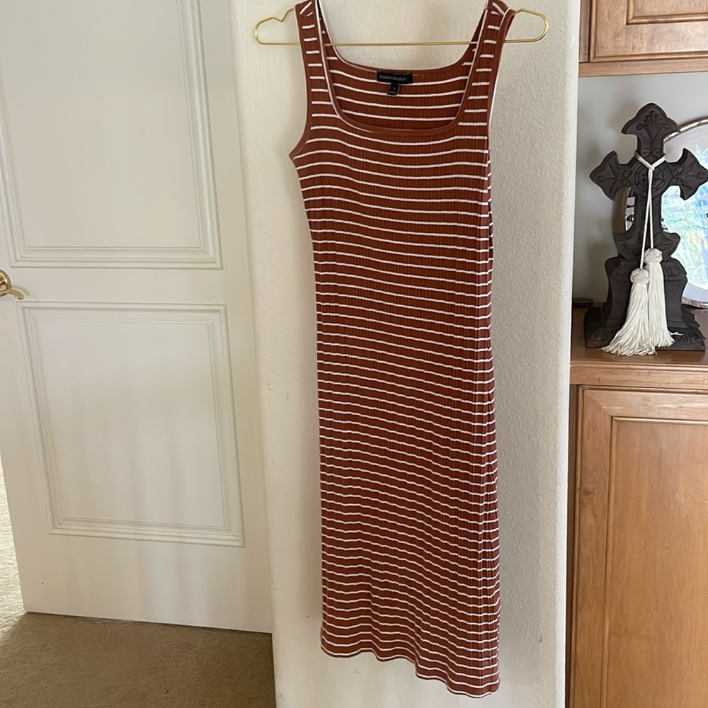 Banana Republic Rust Stripe Dress